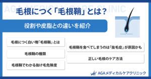 毛根につく「毛根鞘」とは？役割や皮脂との違いを紹。